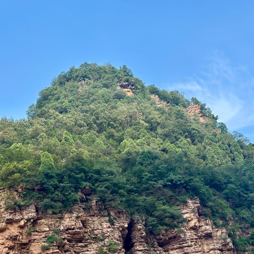 泡泡糖