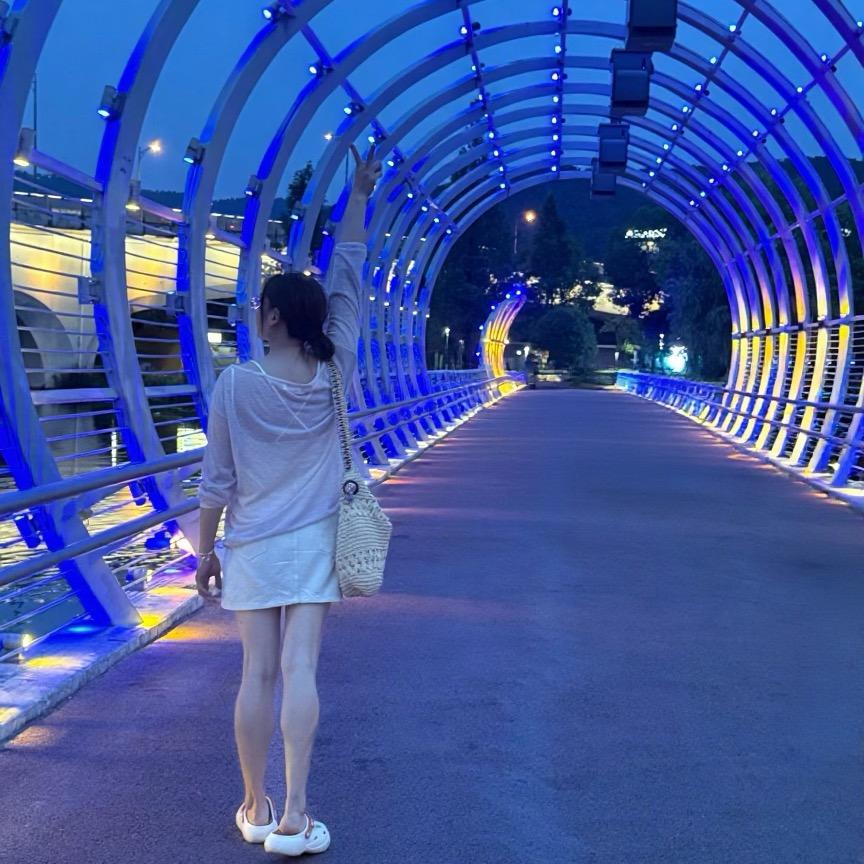 小燕子
