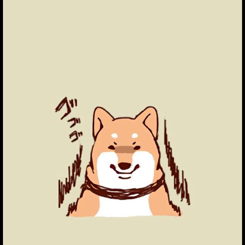 柯柯壳
