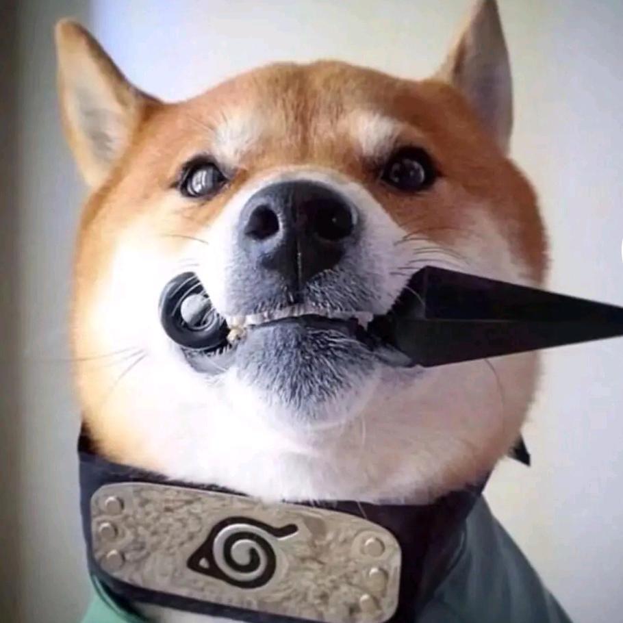 追梦剧场