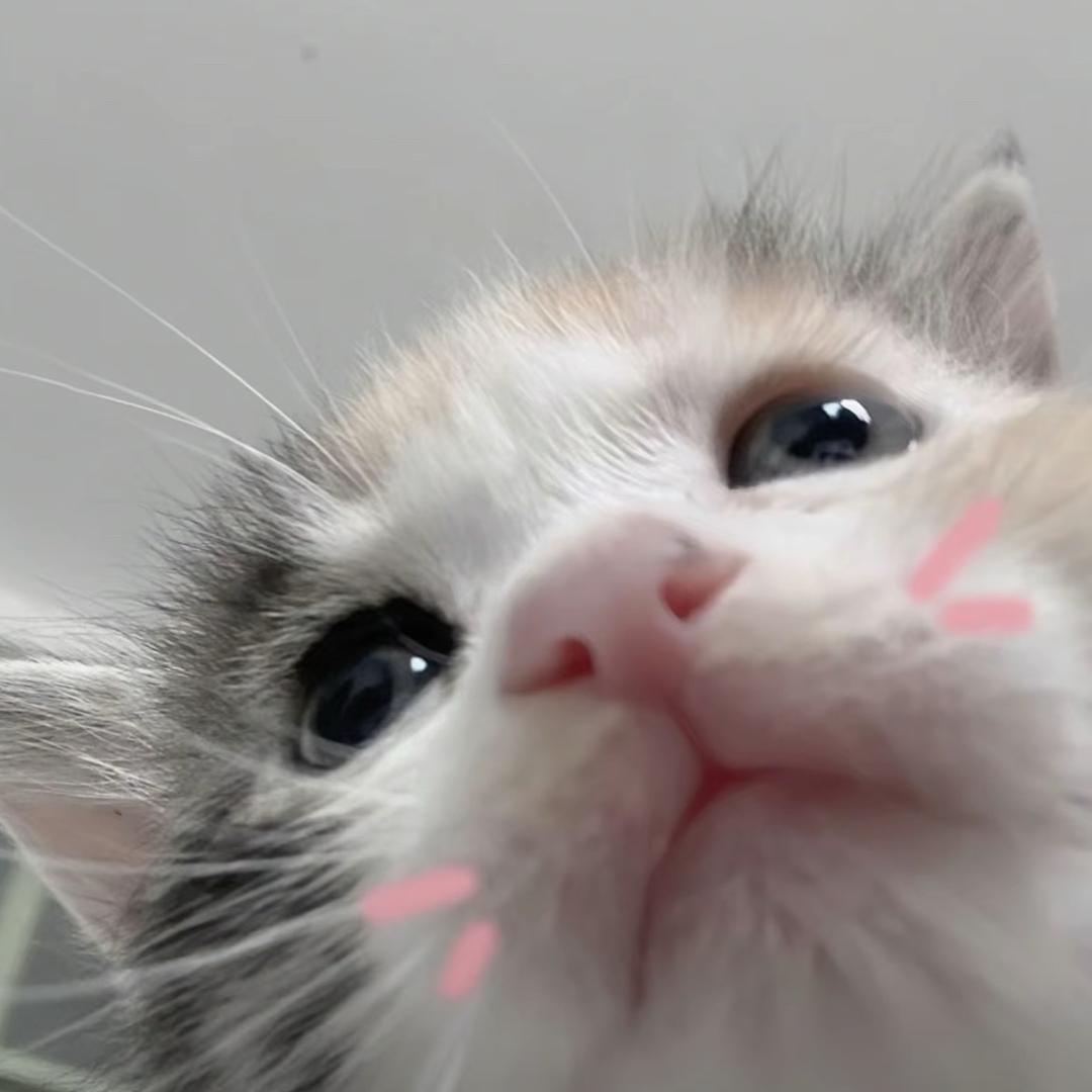 放学一起走好吗^