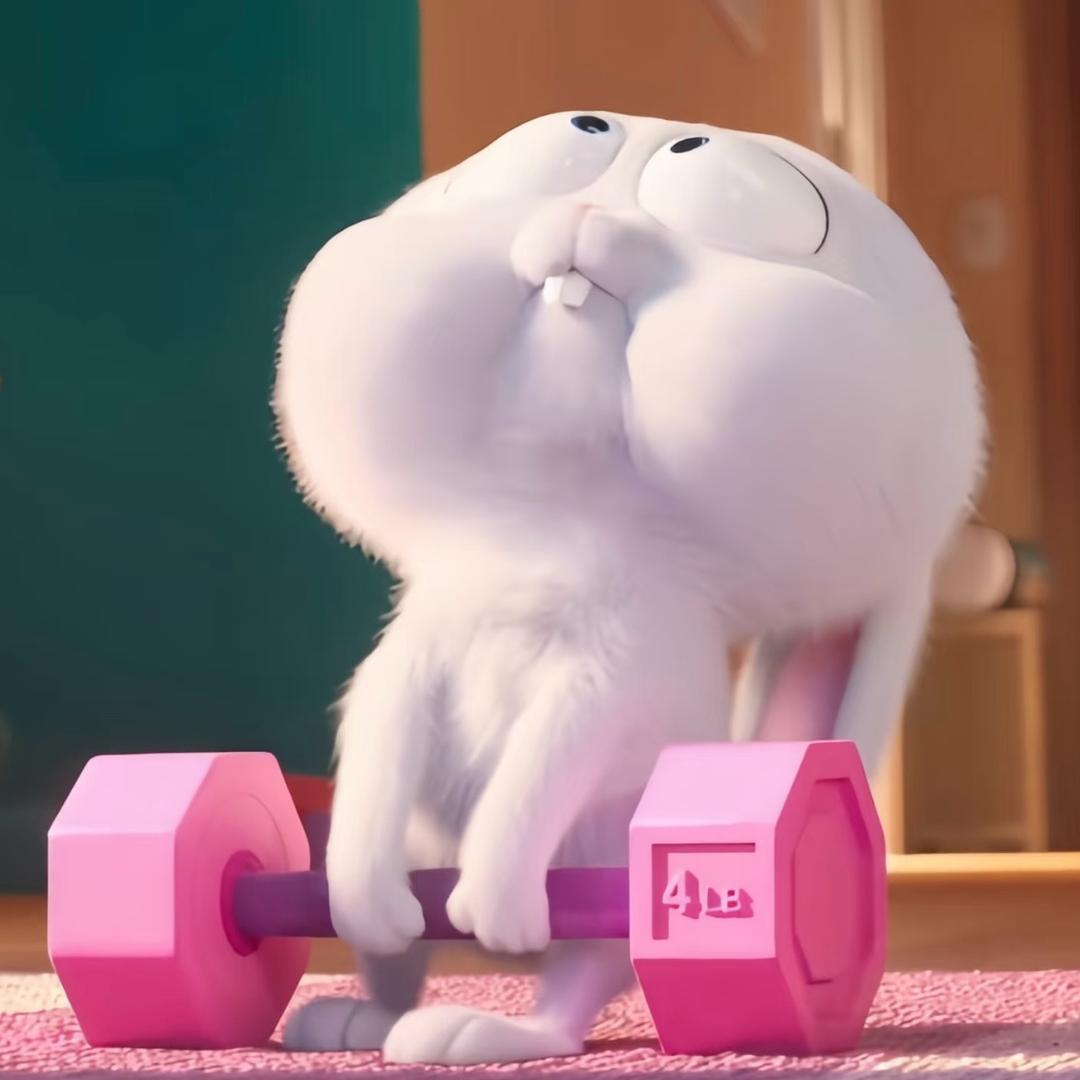 小白🤍