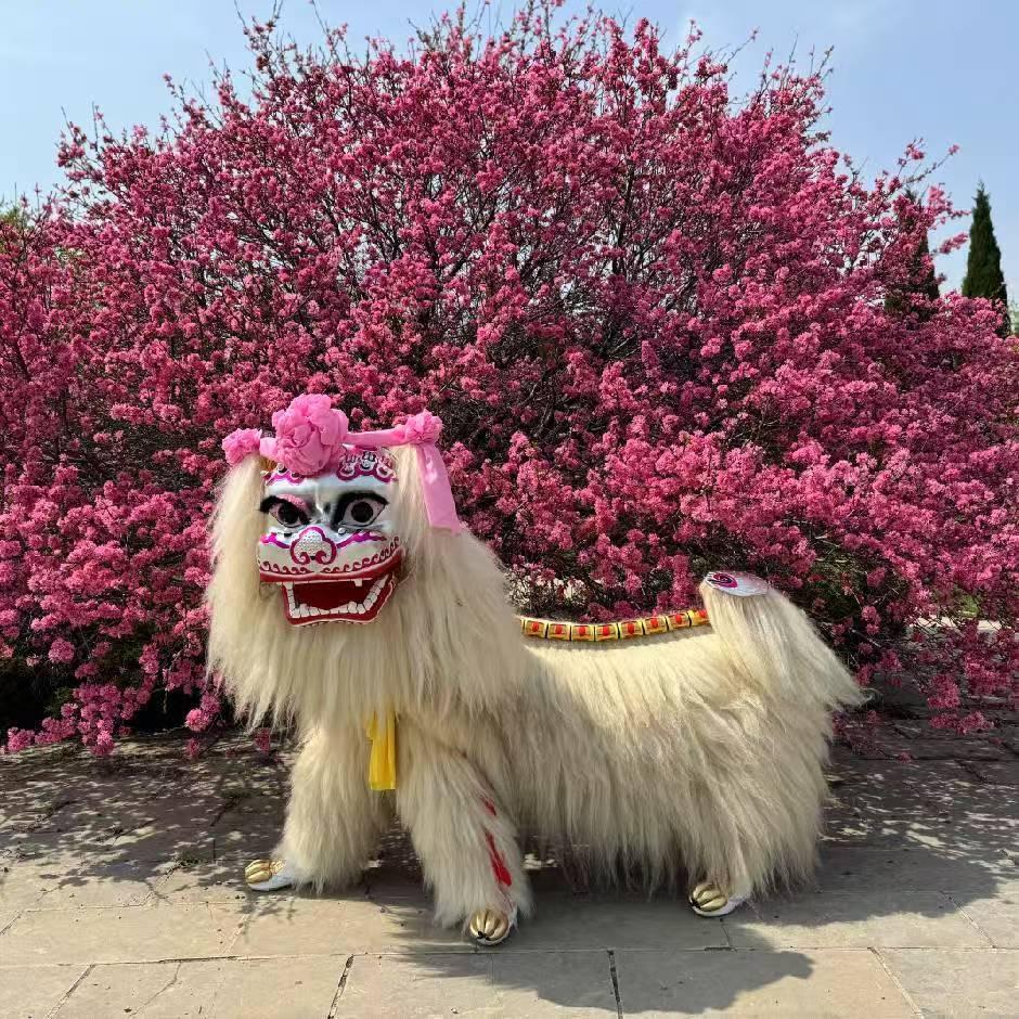 河南豫龙舞狮团（团长）豪鹏