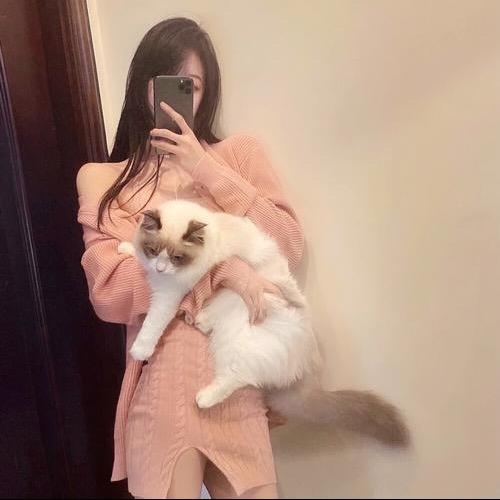 桃夭不逃