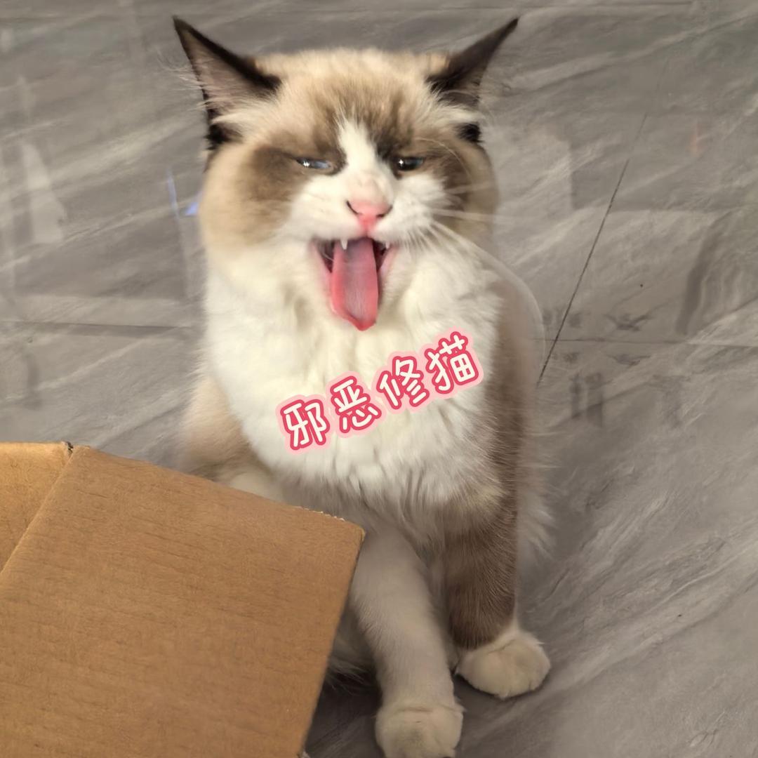 月月爱钓鱼