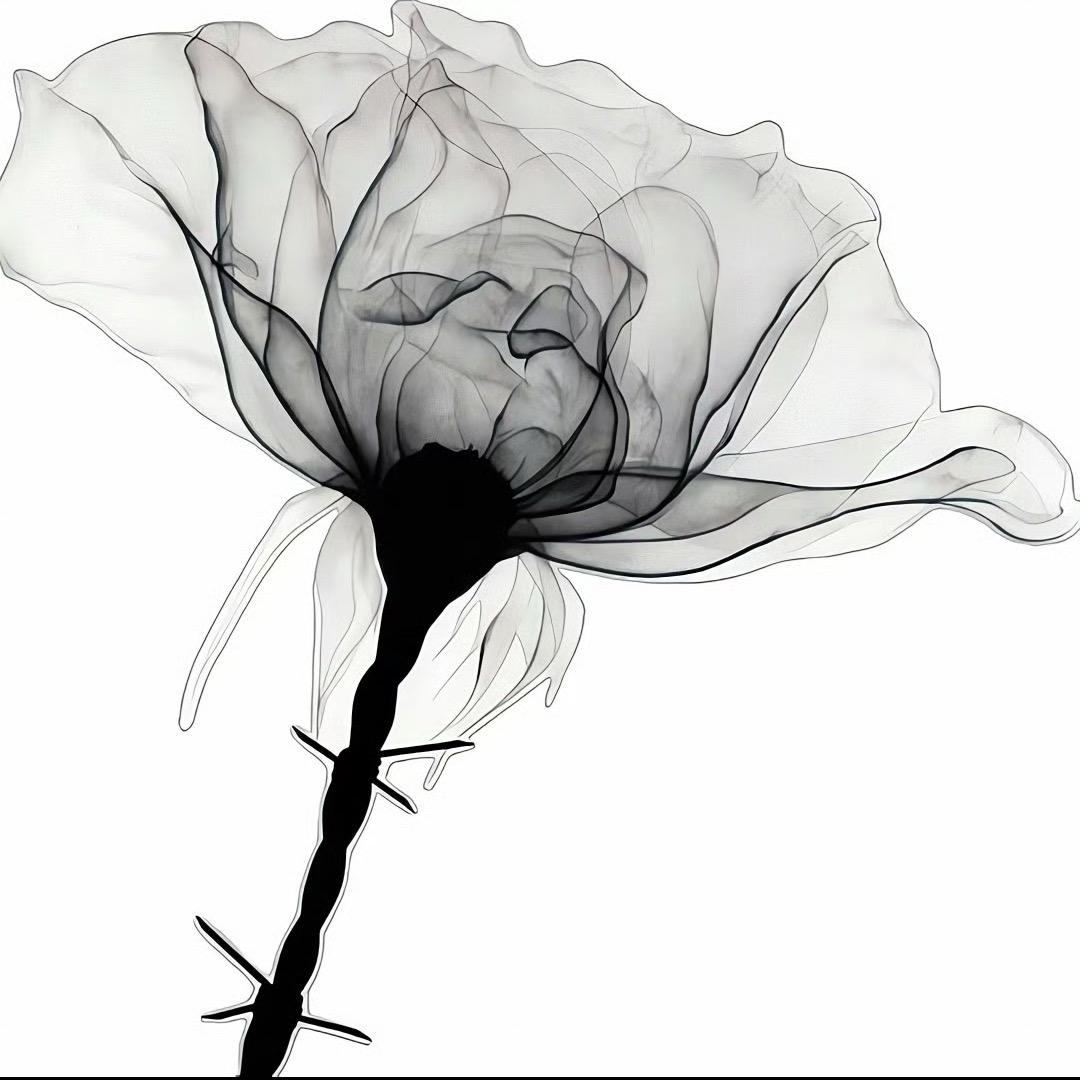 X.xue