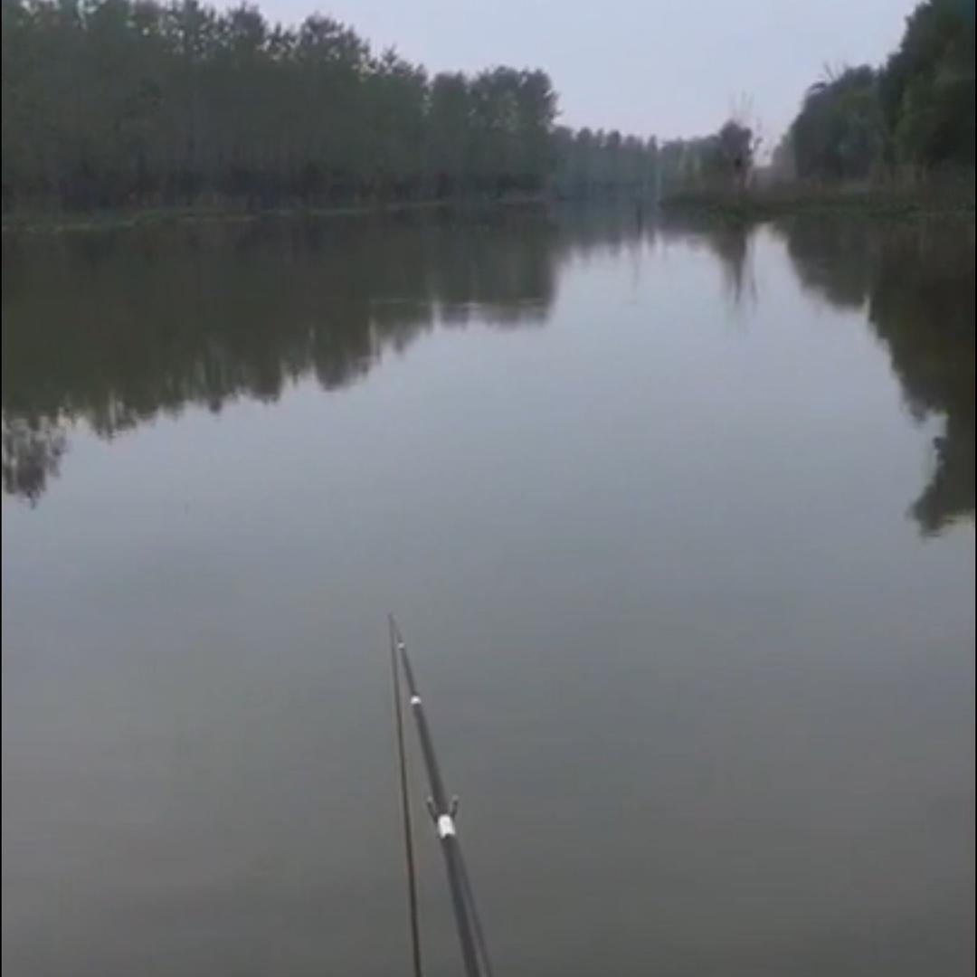 暂、酒