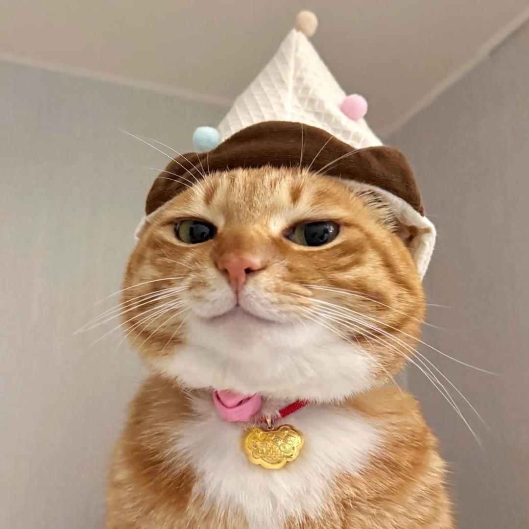 我宁可嫁给财神哪怕是妾