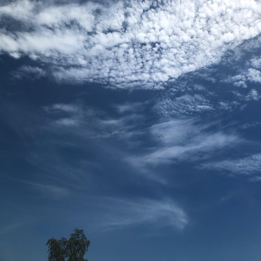 雨声