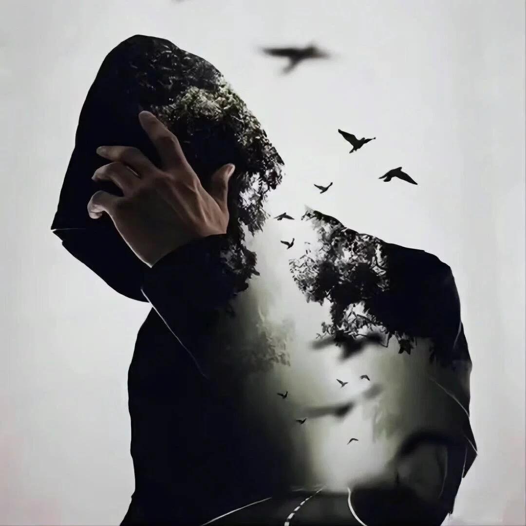 啊北（动漫头像分享）