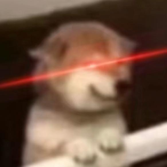 不不胖