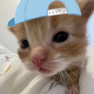 丨