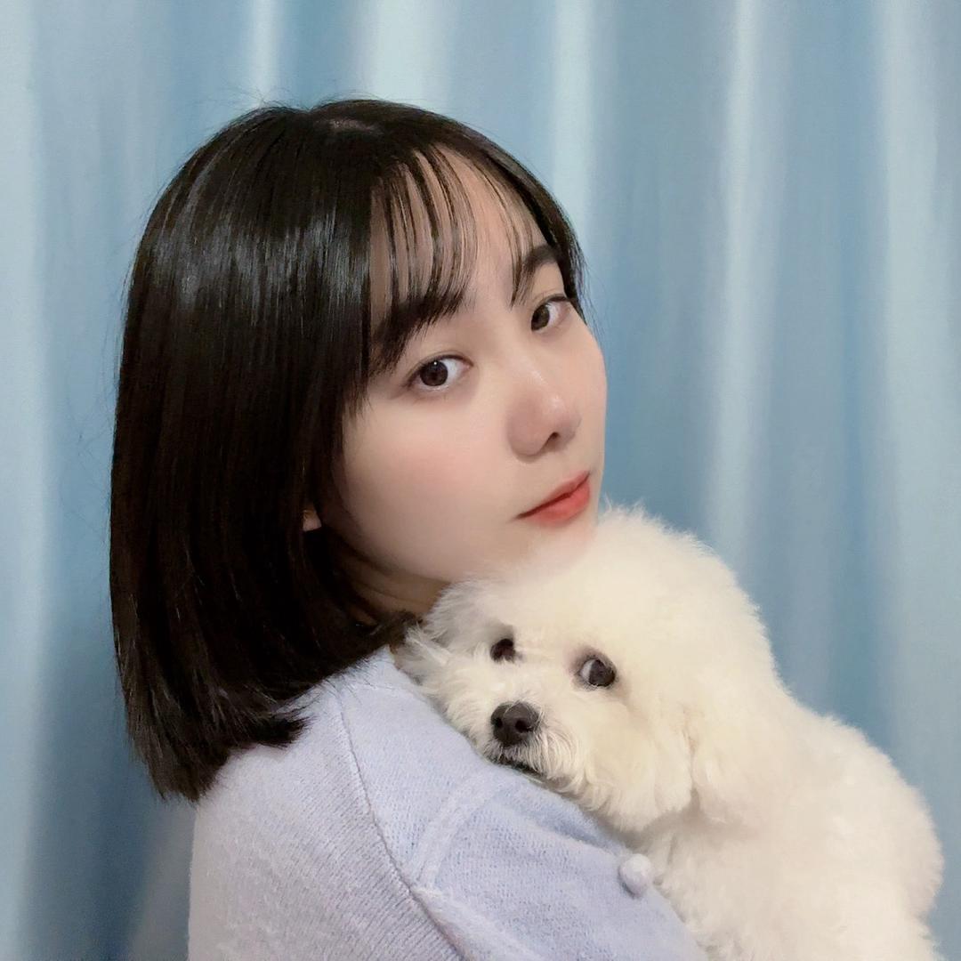 揪小羊尾巴