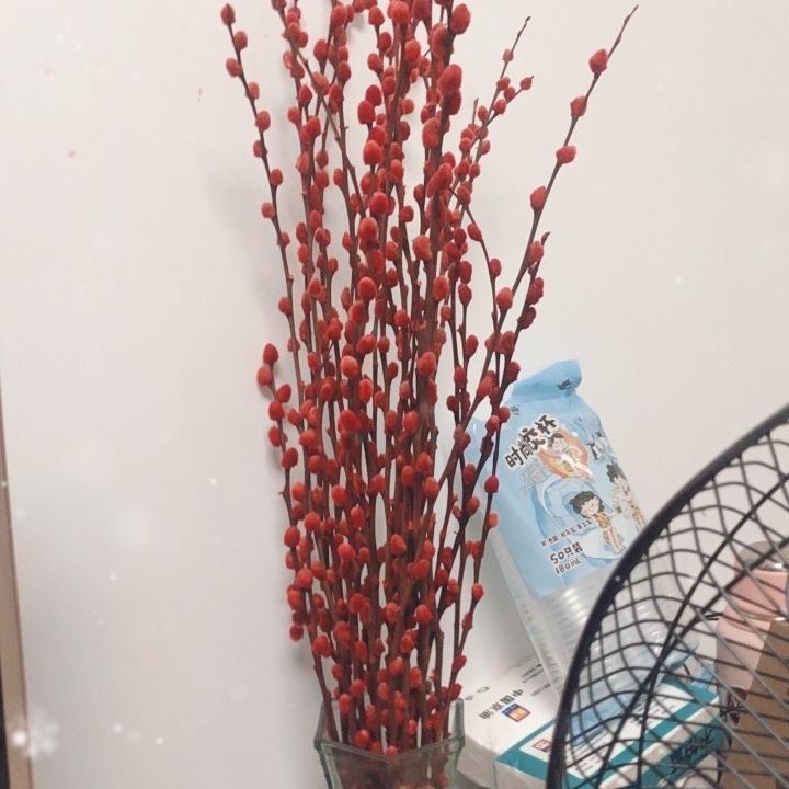 中山市啸妙韵宇工作室
