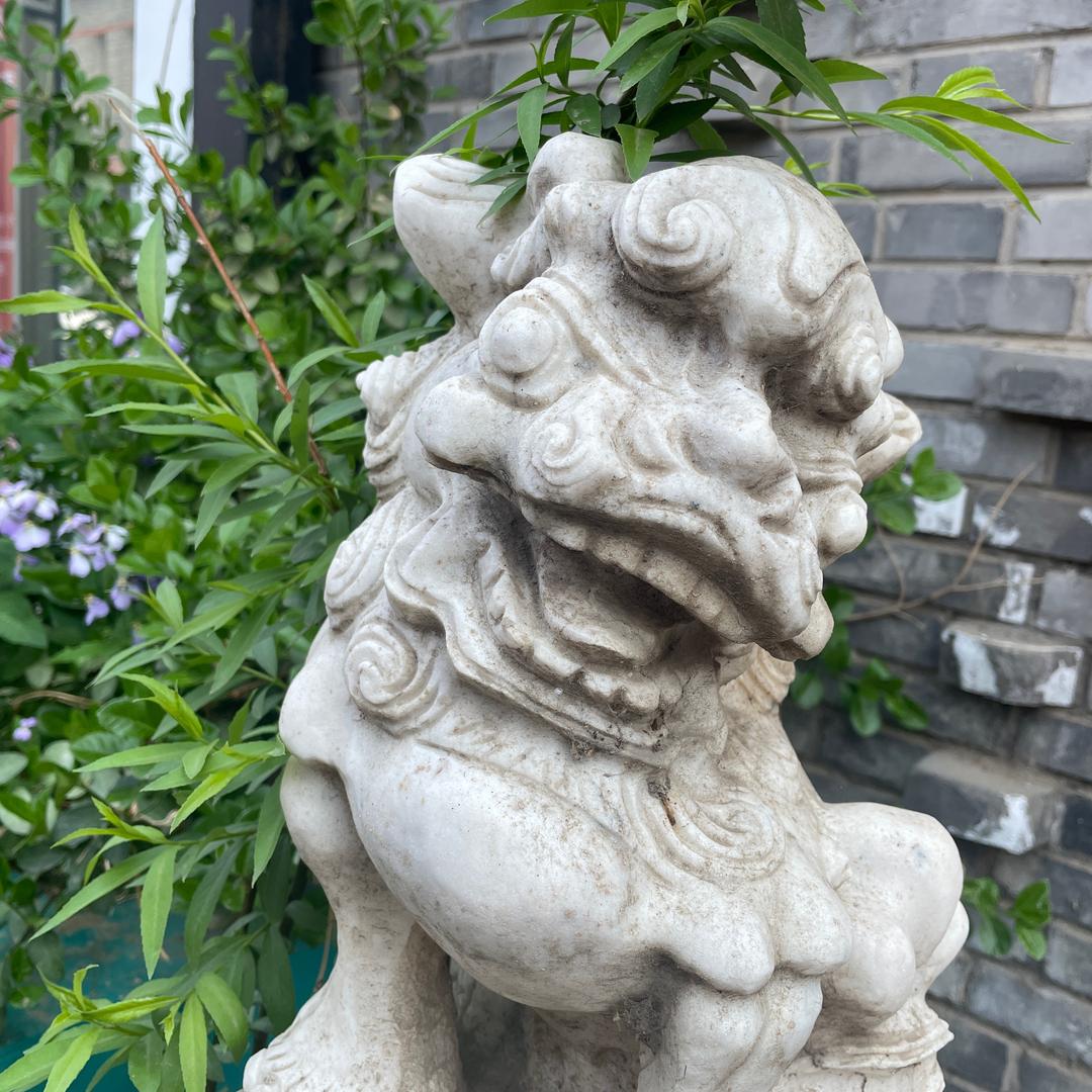 学散打的美术生