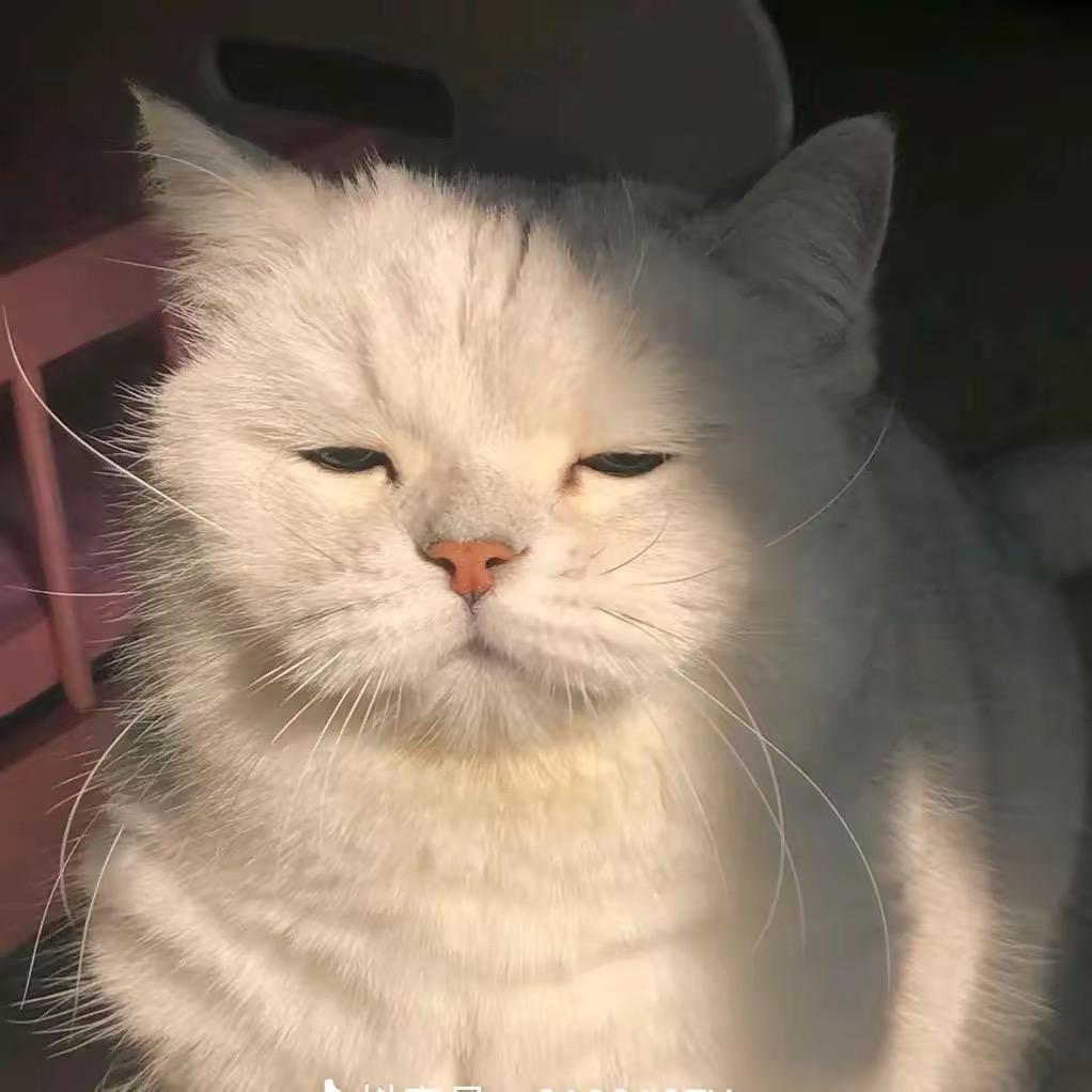 快乐小王
