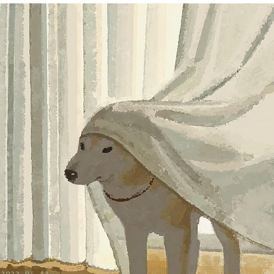 我要成为德鲁伊