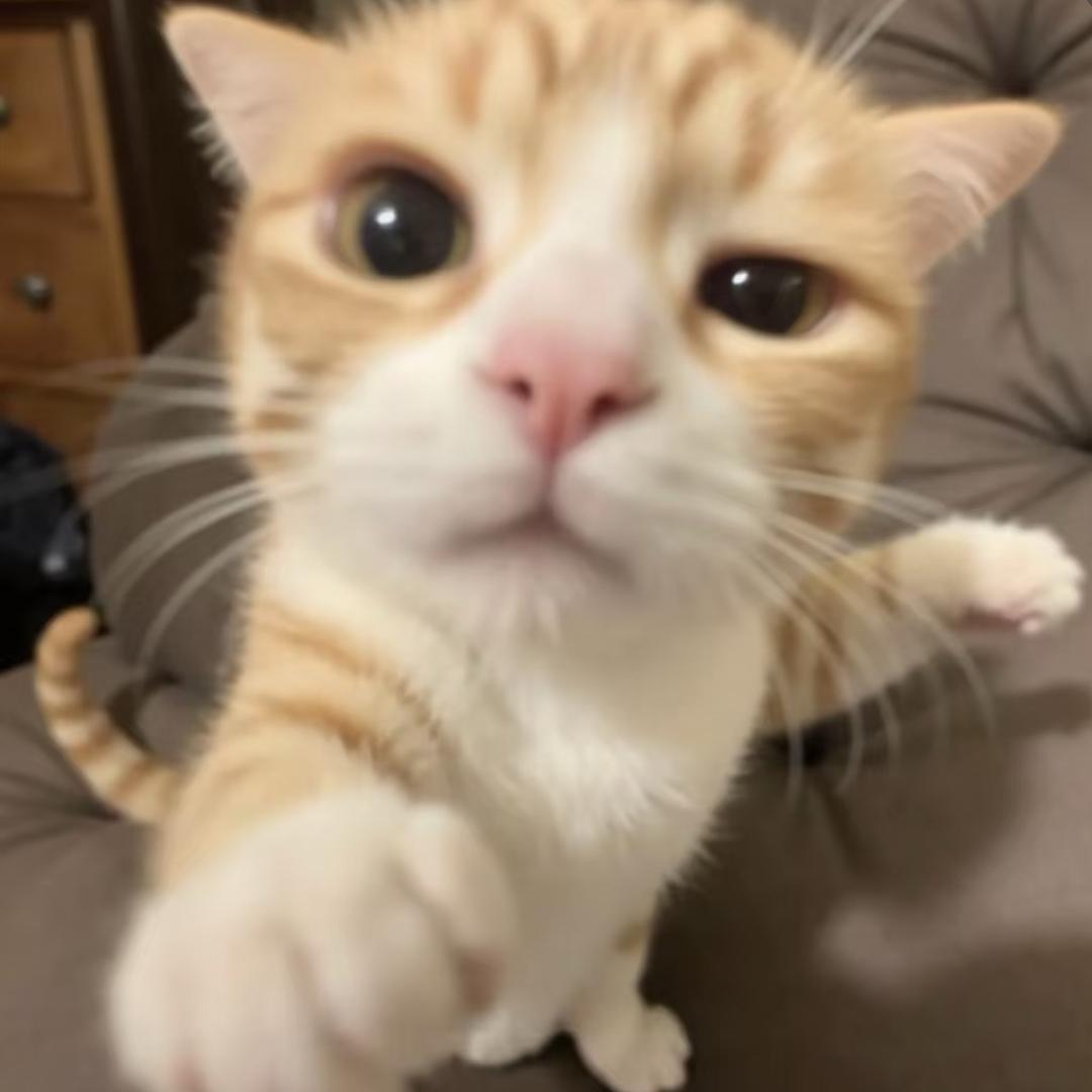 Yyyyy.