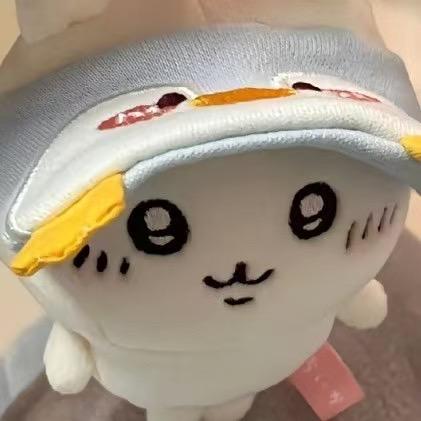 小星学长