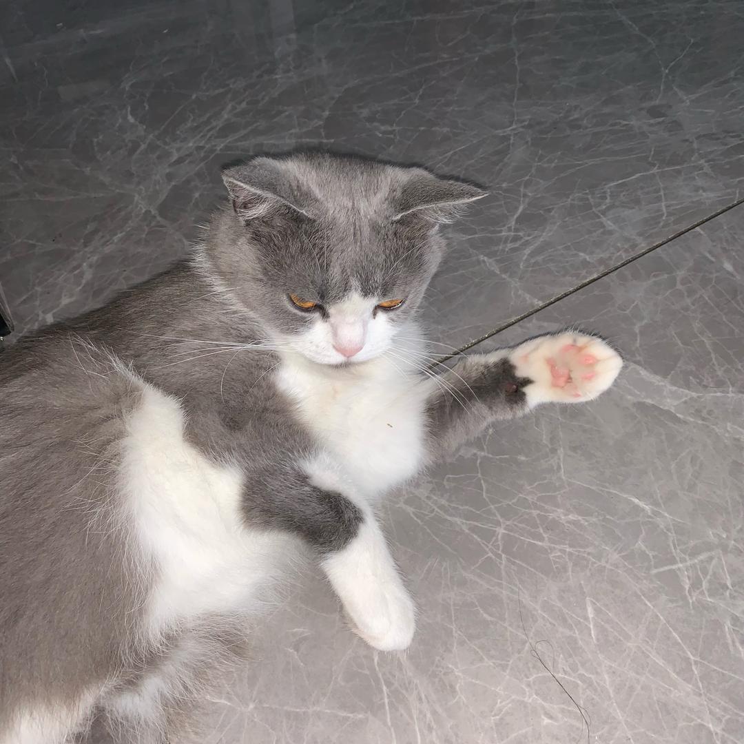 77