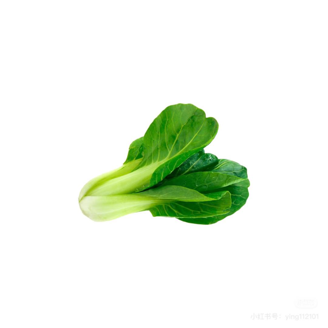 圆圆.