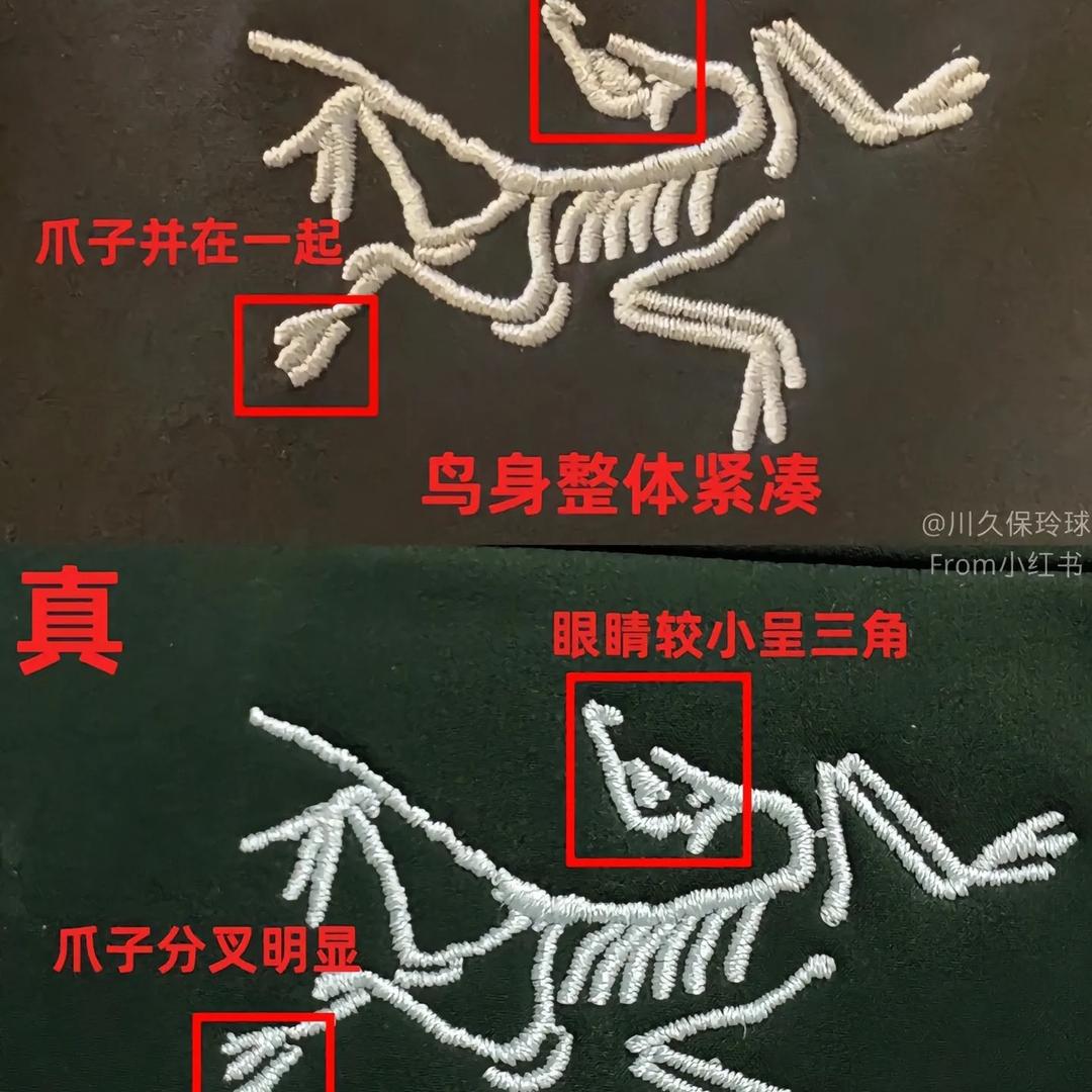 天空中的台州鸟