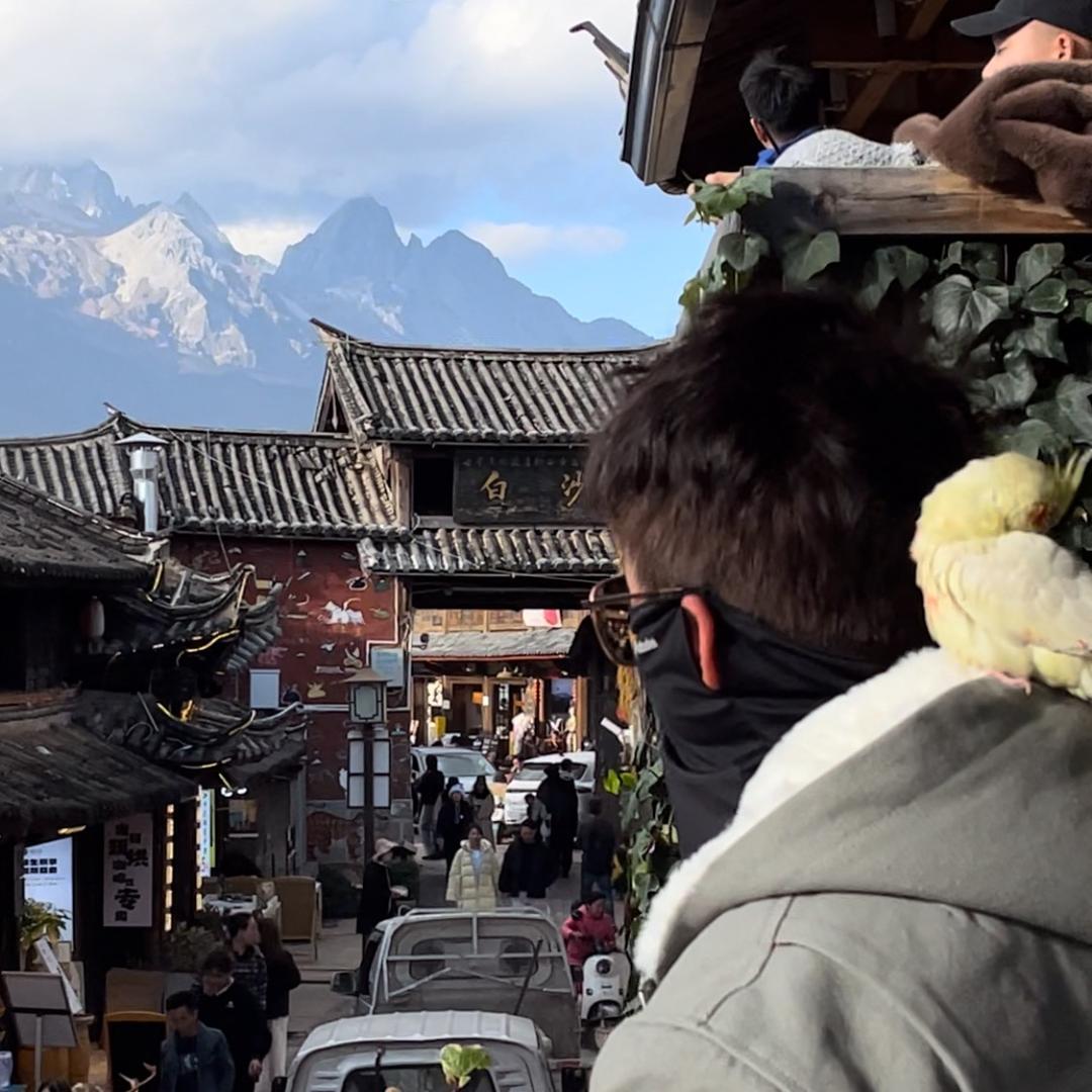 王道长🪐（旅行碎片）