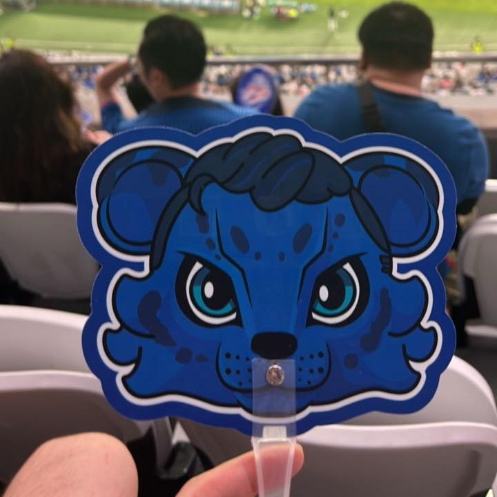 小麻球儿