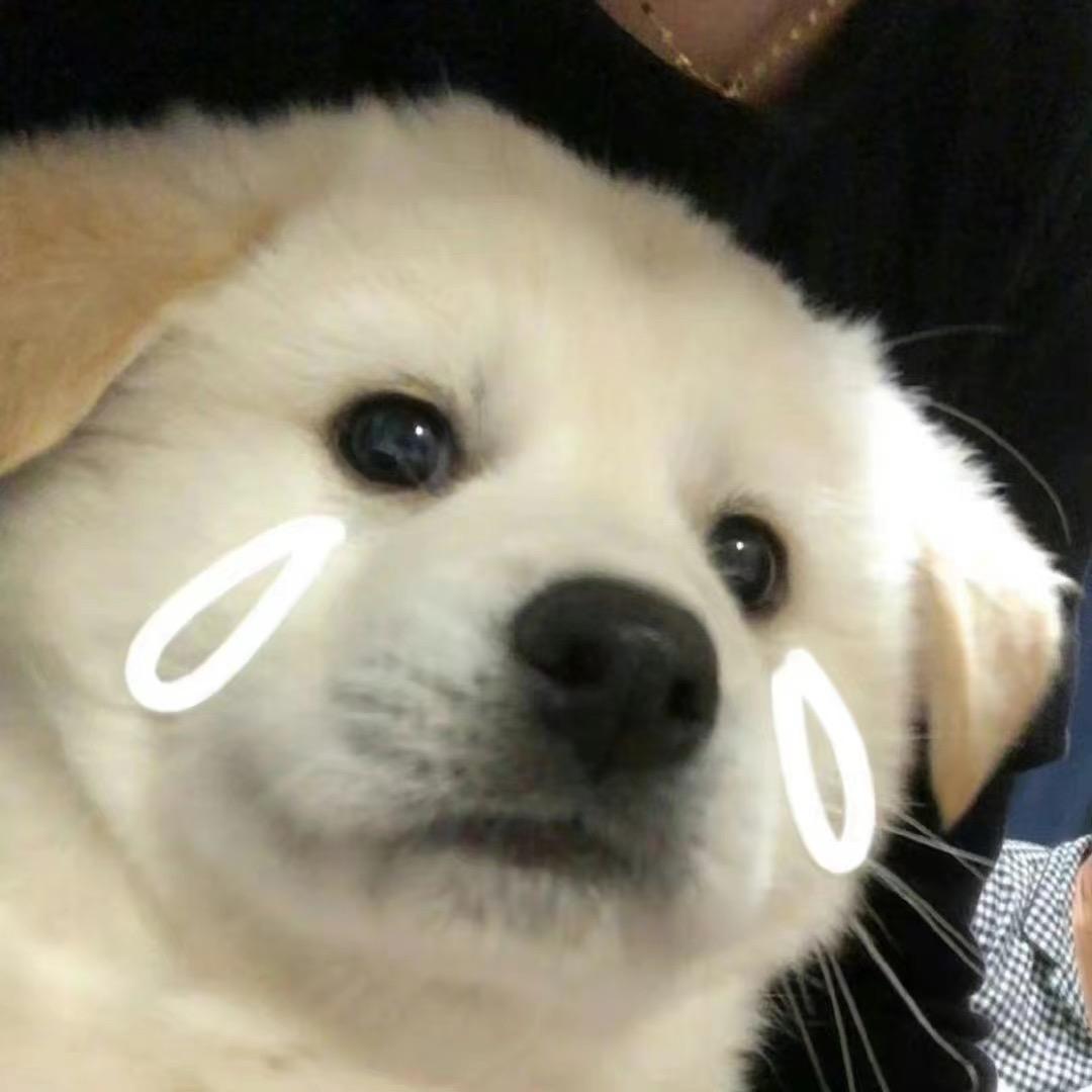 Kimi