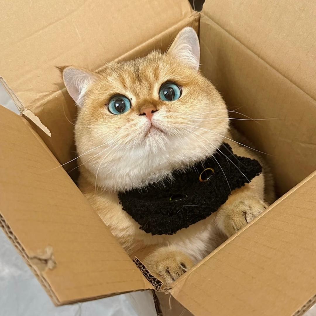 ☁️小熊不开心