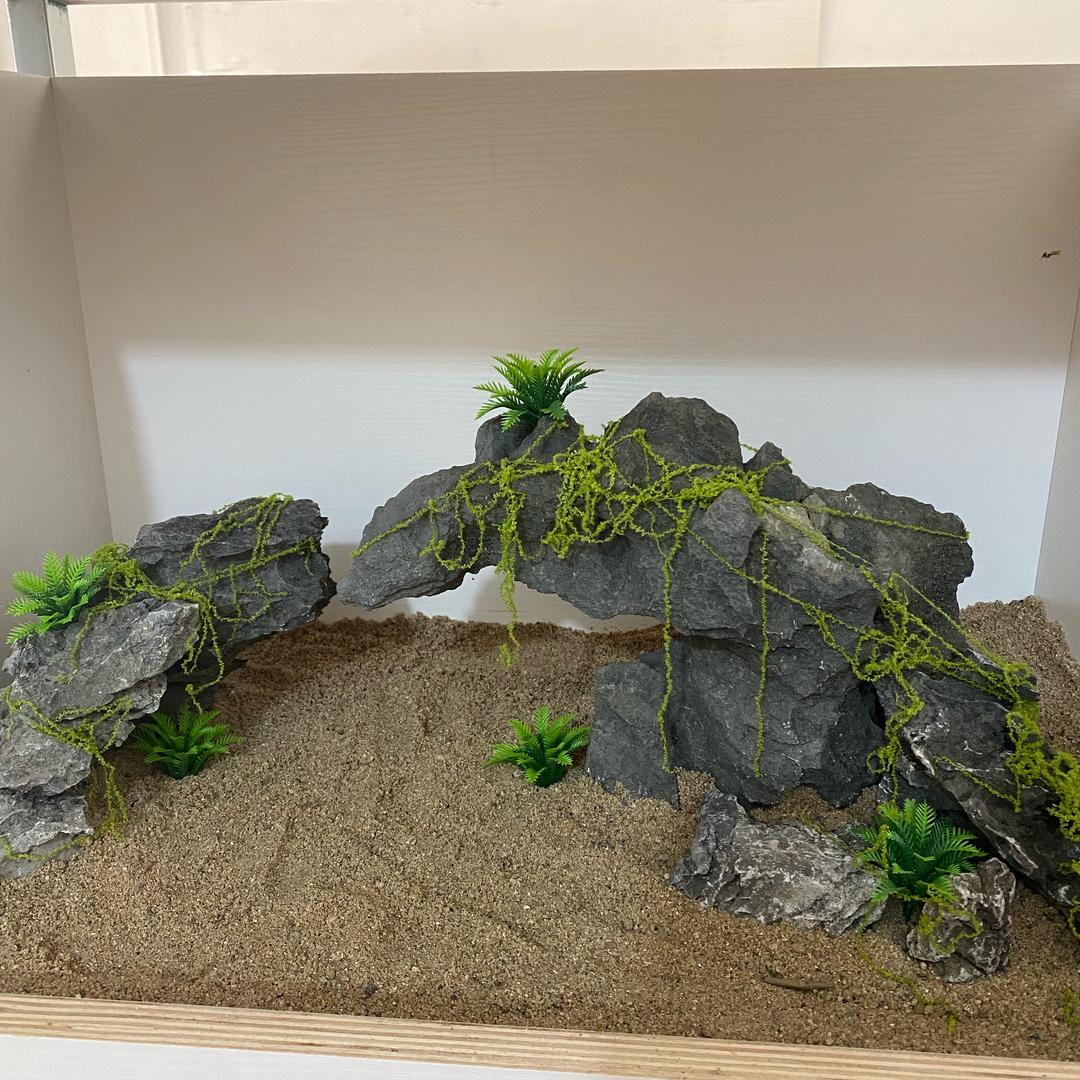 山美园林奇石场