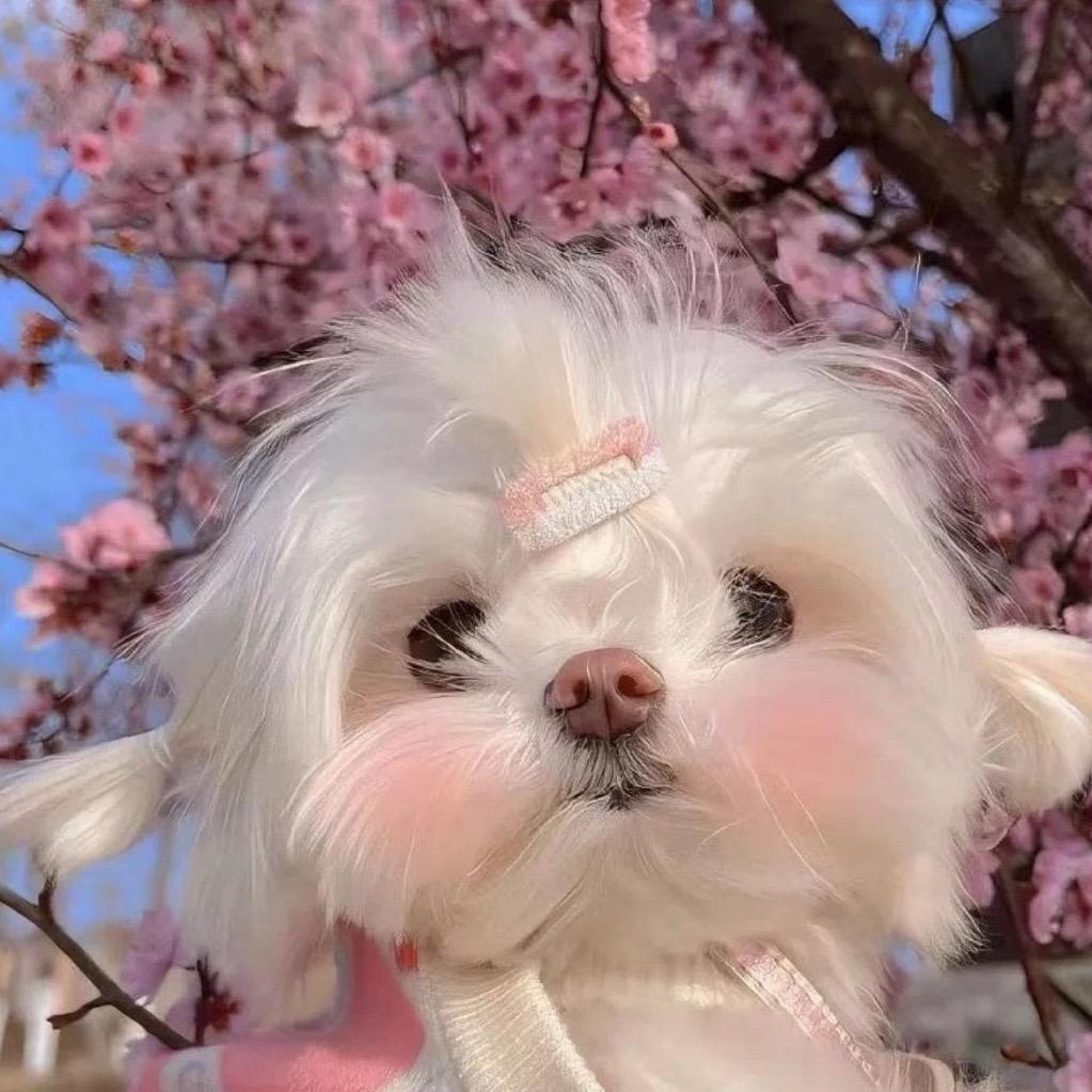 钥