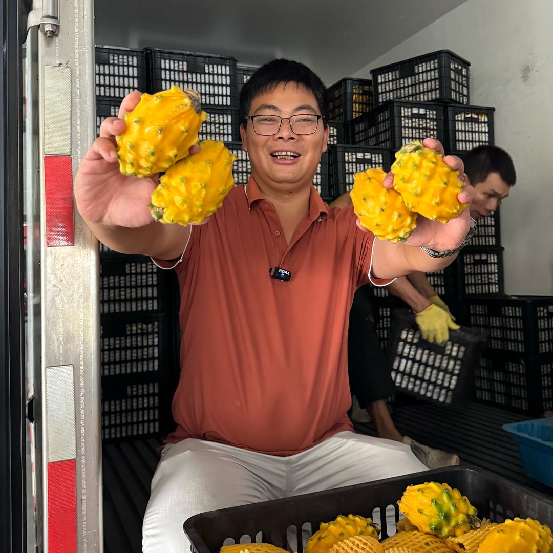 黑仔水果批发供应链「莲雾」