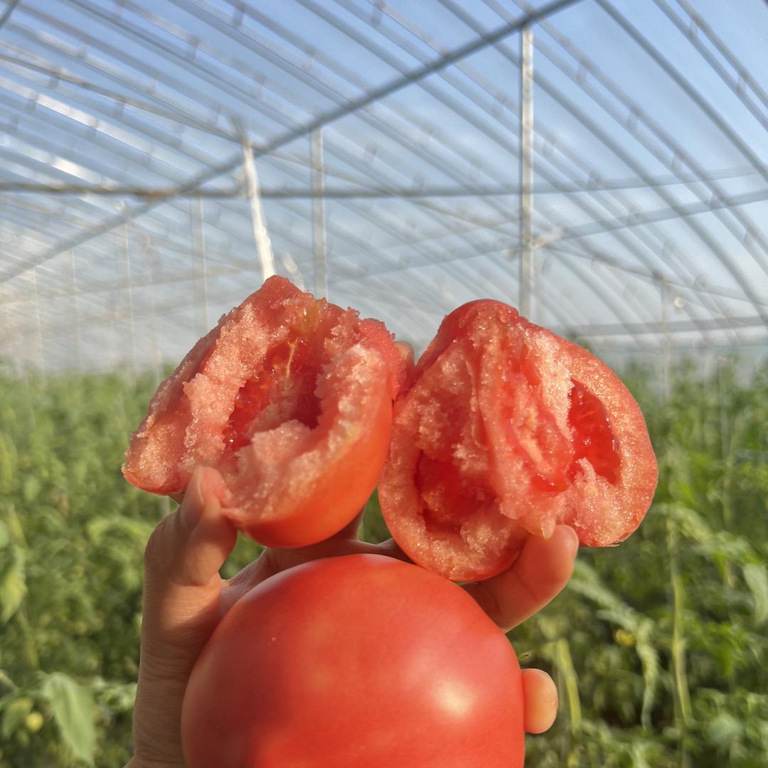 万邦果蔬联盟连舟果品