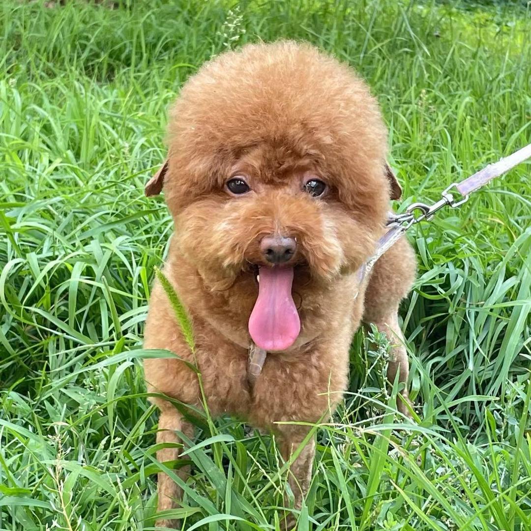 一吃脸就圆 ᯅ𝙞𝙞