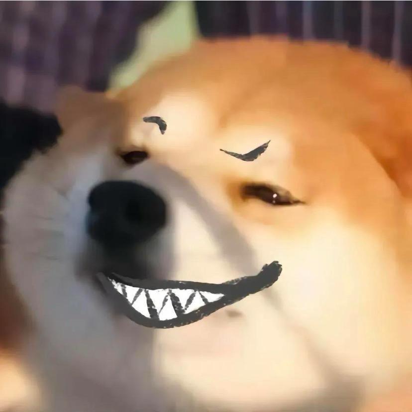 别踩我尾巴