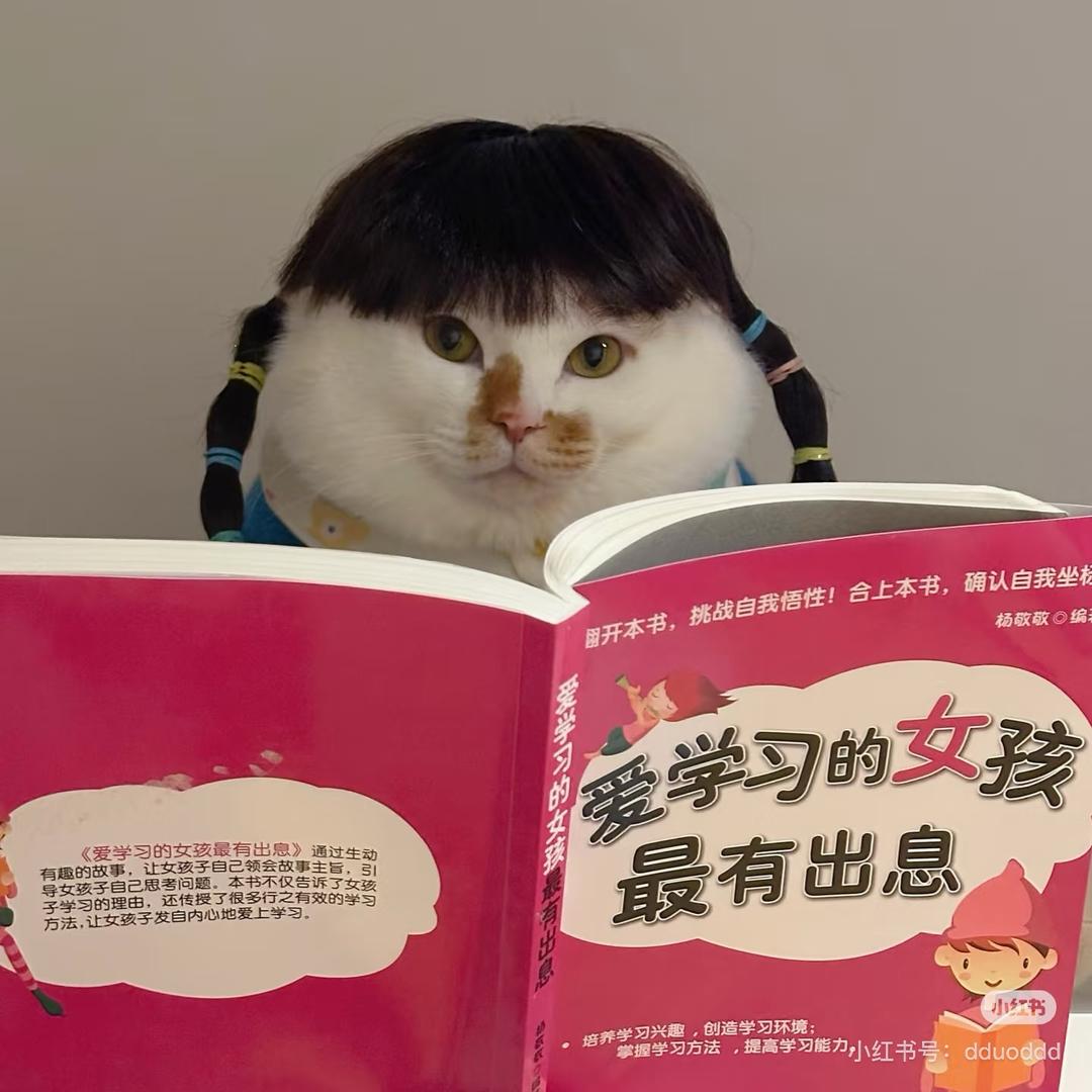 酸辣菠萝🍍