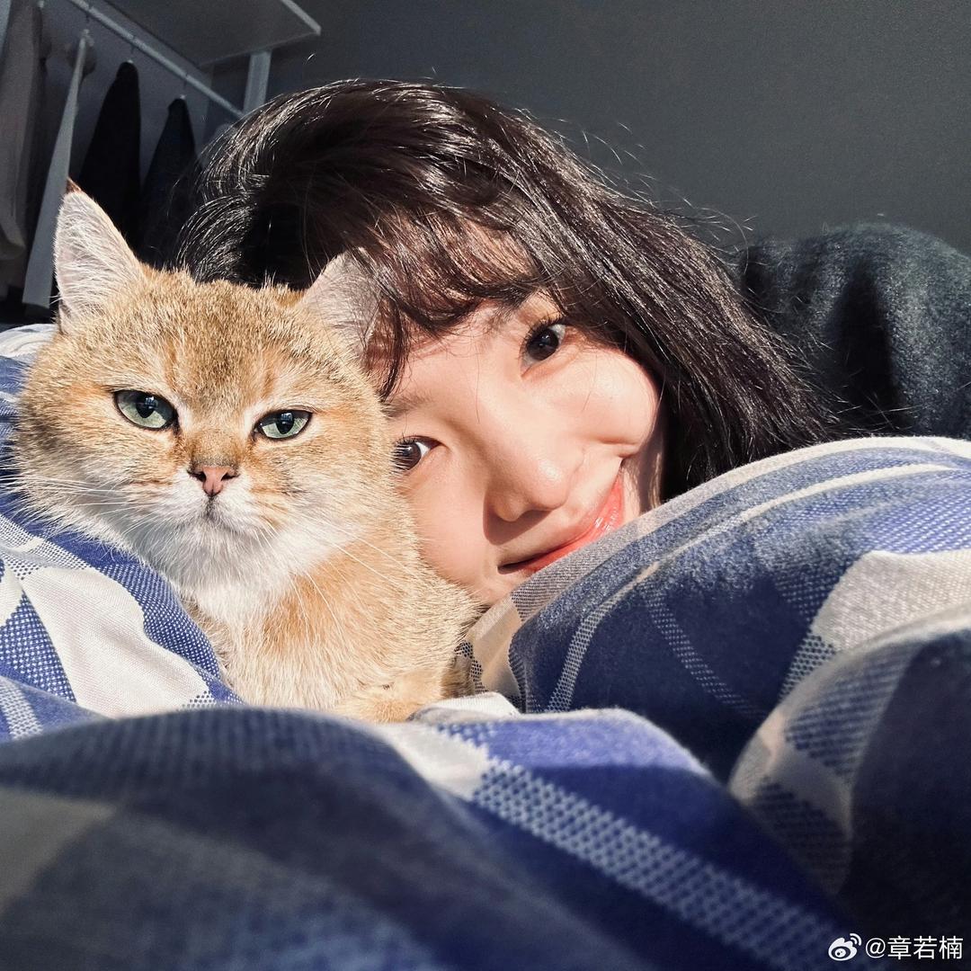 小王加加