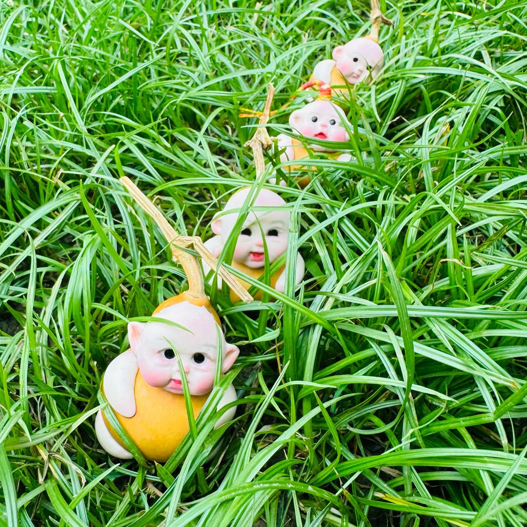 开心果doll