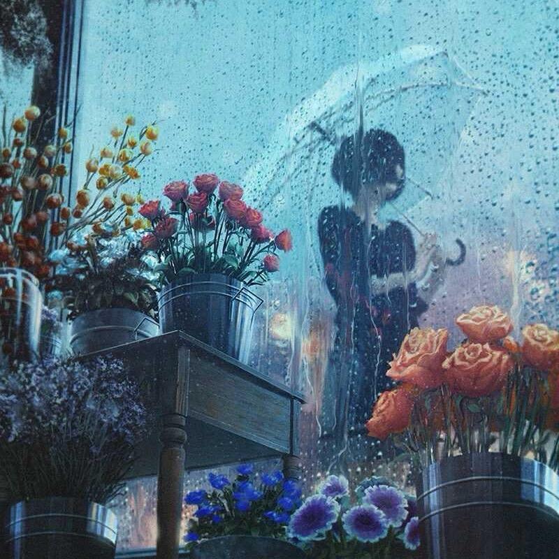 ❀芝芝茫茫๑❦ 𖠚ᐝ