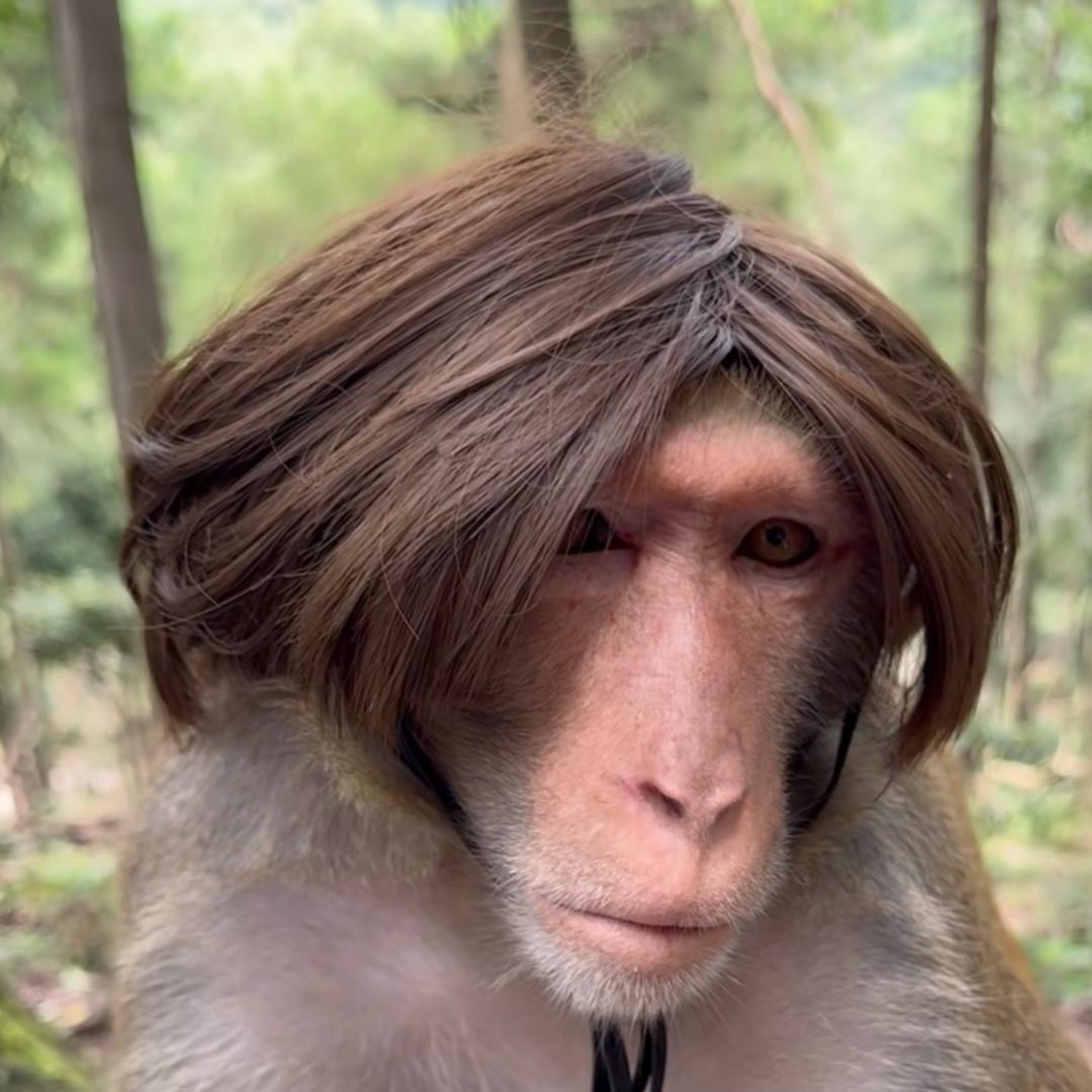 不正常人类研究中心