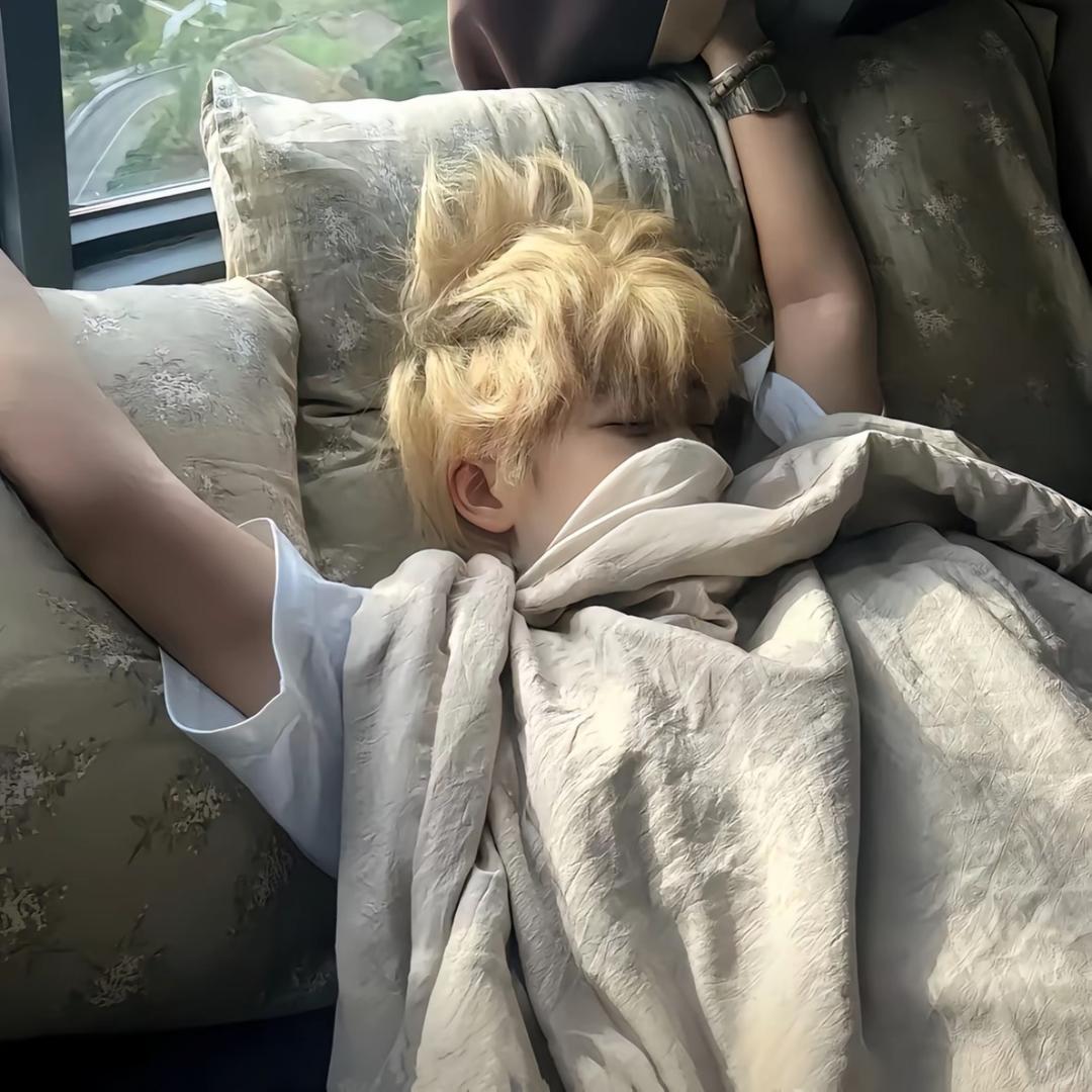 zz睡觉💤
