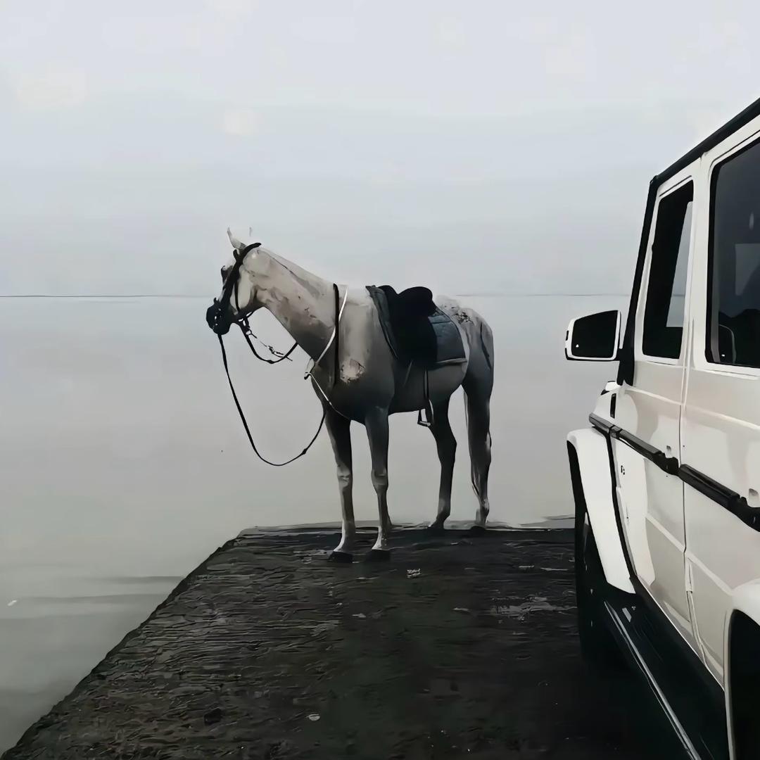 叫我李就好