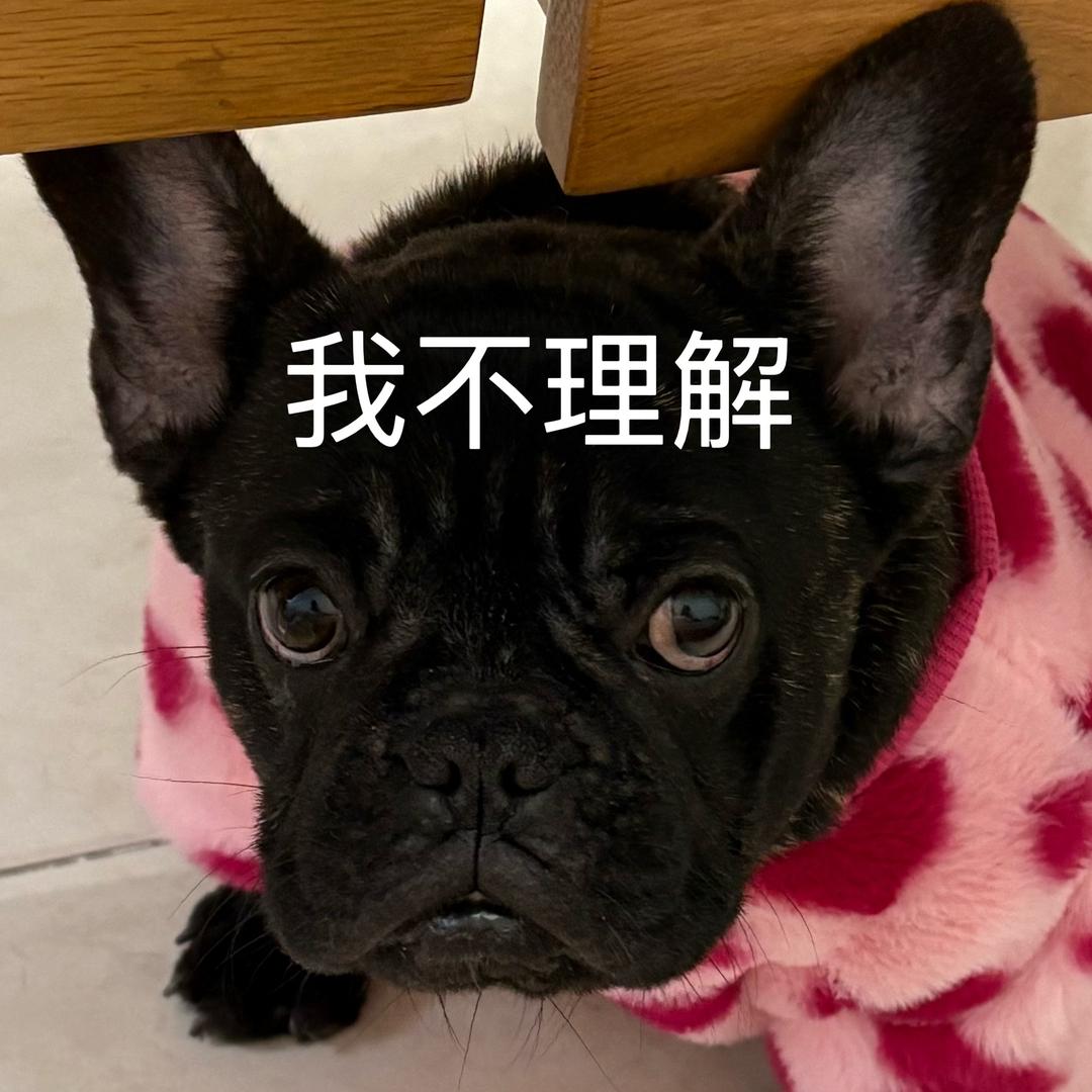 皮女士