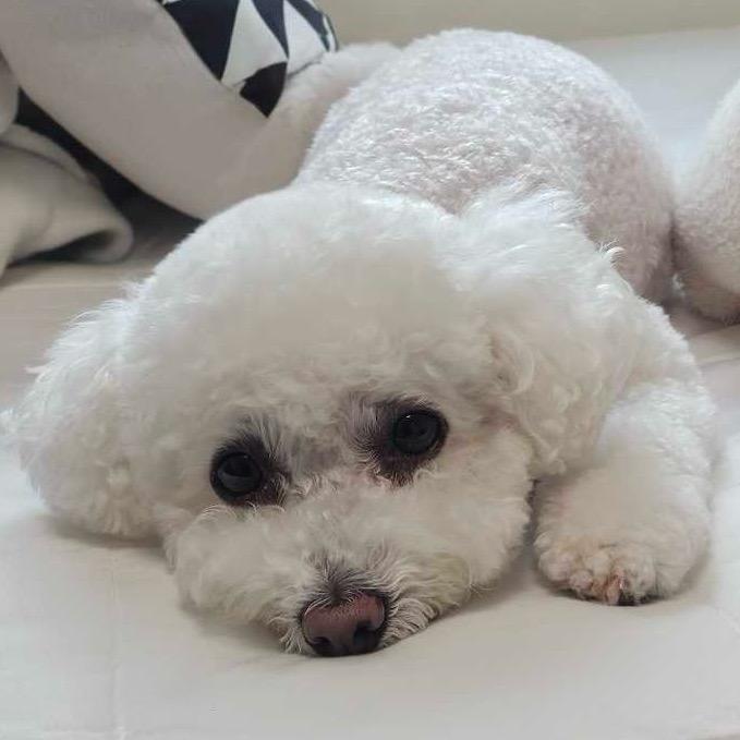 ∞❤️‍🔥🐧