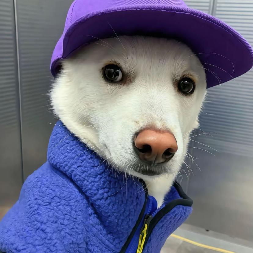 Tinnlyo