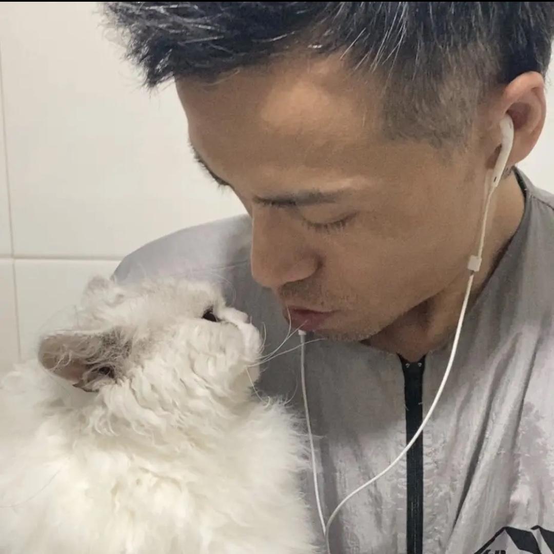 御猫苑卷毛猫