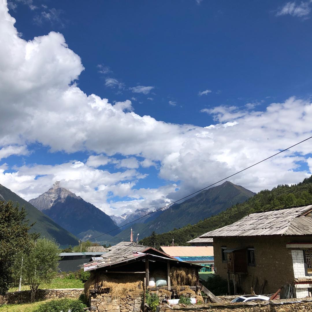 鲜花怒马少年时