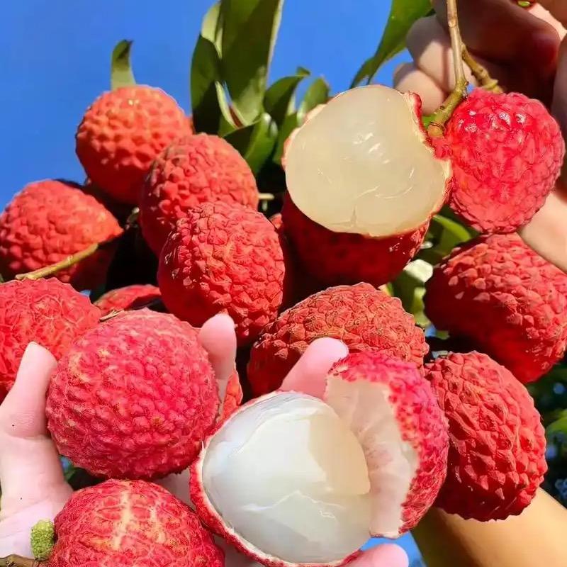 小发发生鲜送到家-东娱