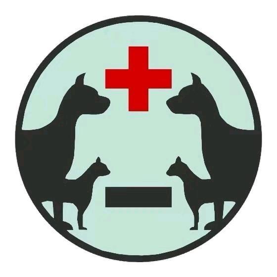 遇见您的喵（田园猫领养）